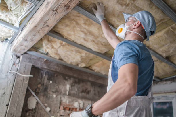 Best Residential Insulation in Mansura, LA